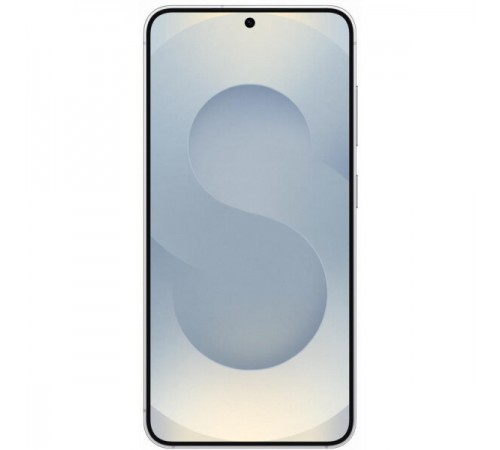 Телефон Samsung Galaxy S25 SM-S931B 12GB/512GB (серый)
