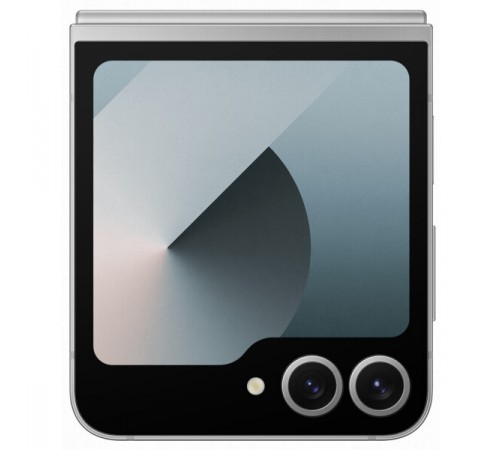 Смартфон Samsung Galaxy Z Flip6 SM-F741B 12GB/512GB (серый)