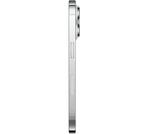 Смартфон Apple iPhone 14 Pro Dual SIM 256GB (серебристый)