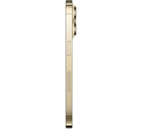Смартфон Apple iPhone 14 Pro 256GB (золотистый)